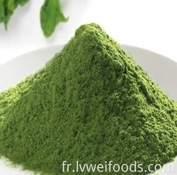 Dehydrated Spinach Powder